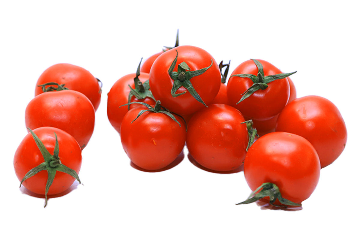 ԼՈԼԻԿ ՉԵՐԻ ՀԱՏԻԿ ԿԳ