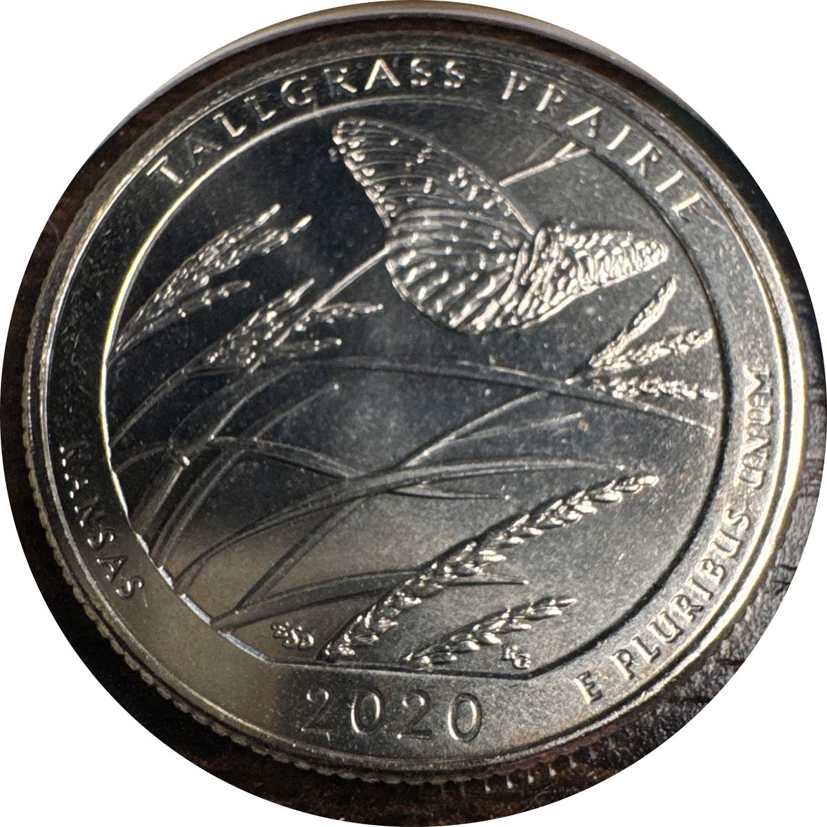 2020 P Washington Quarter Ungraded (back)