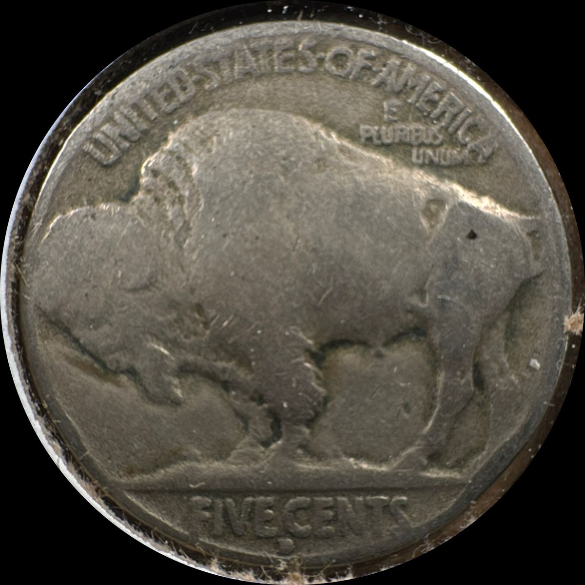 1929 D Buffalo Nickel Ungraded (back)