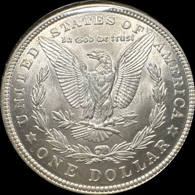 1921-P Morgan Dollar Ungraded (back)