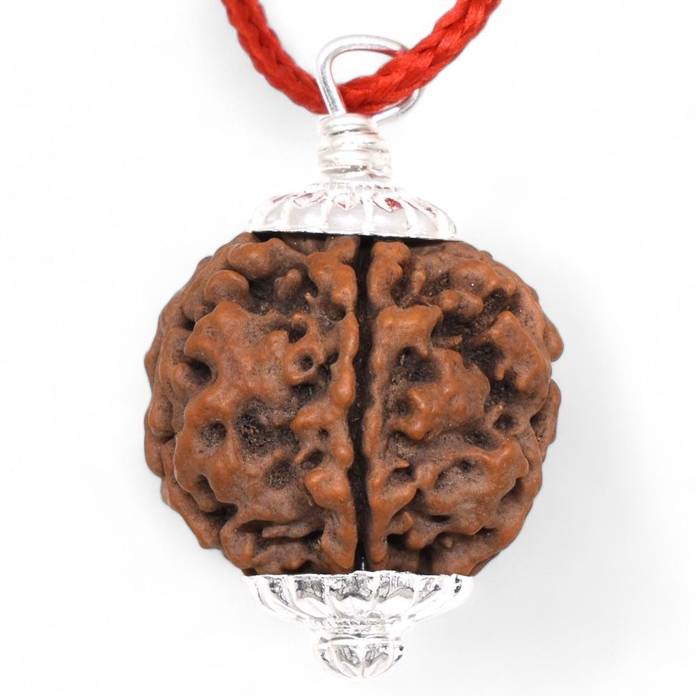Rudraksha