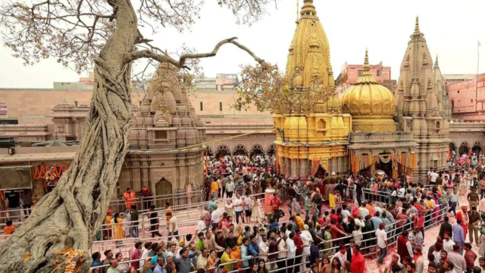 Kashi Vishwanath