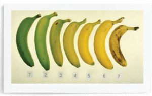 Bananas2