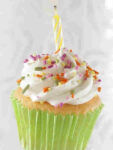 Cupcake Delivery Tampa