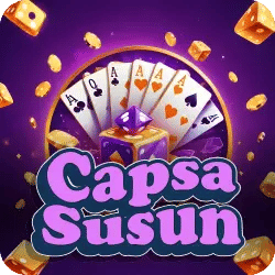 capsa susun