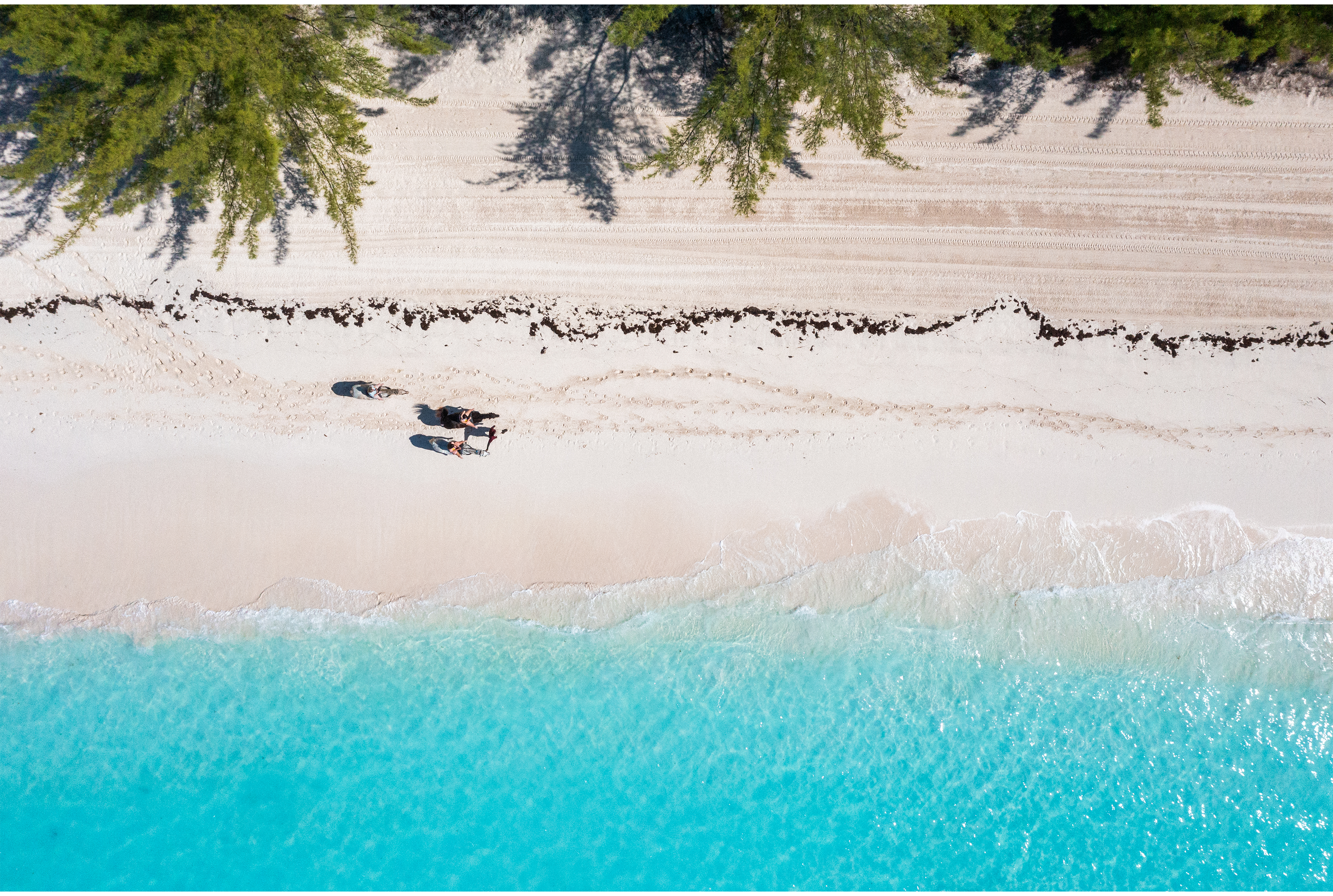 The Bahamas cruise destination with white sand, turquoise water, and tropical shoreline