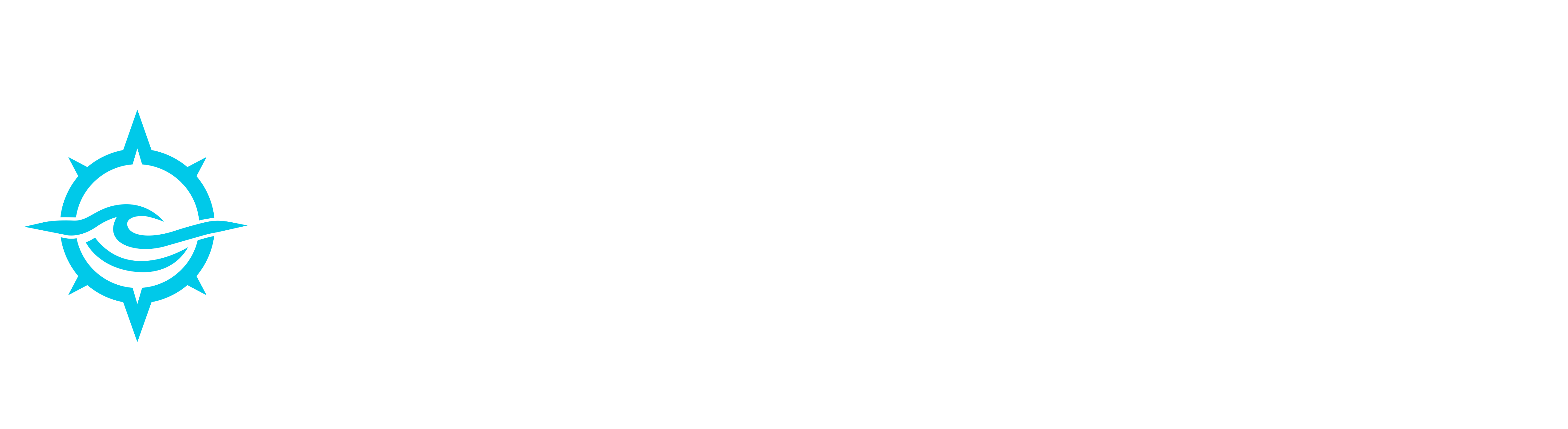 CruiseConnect