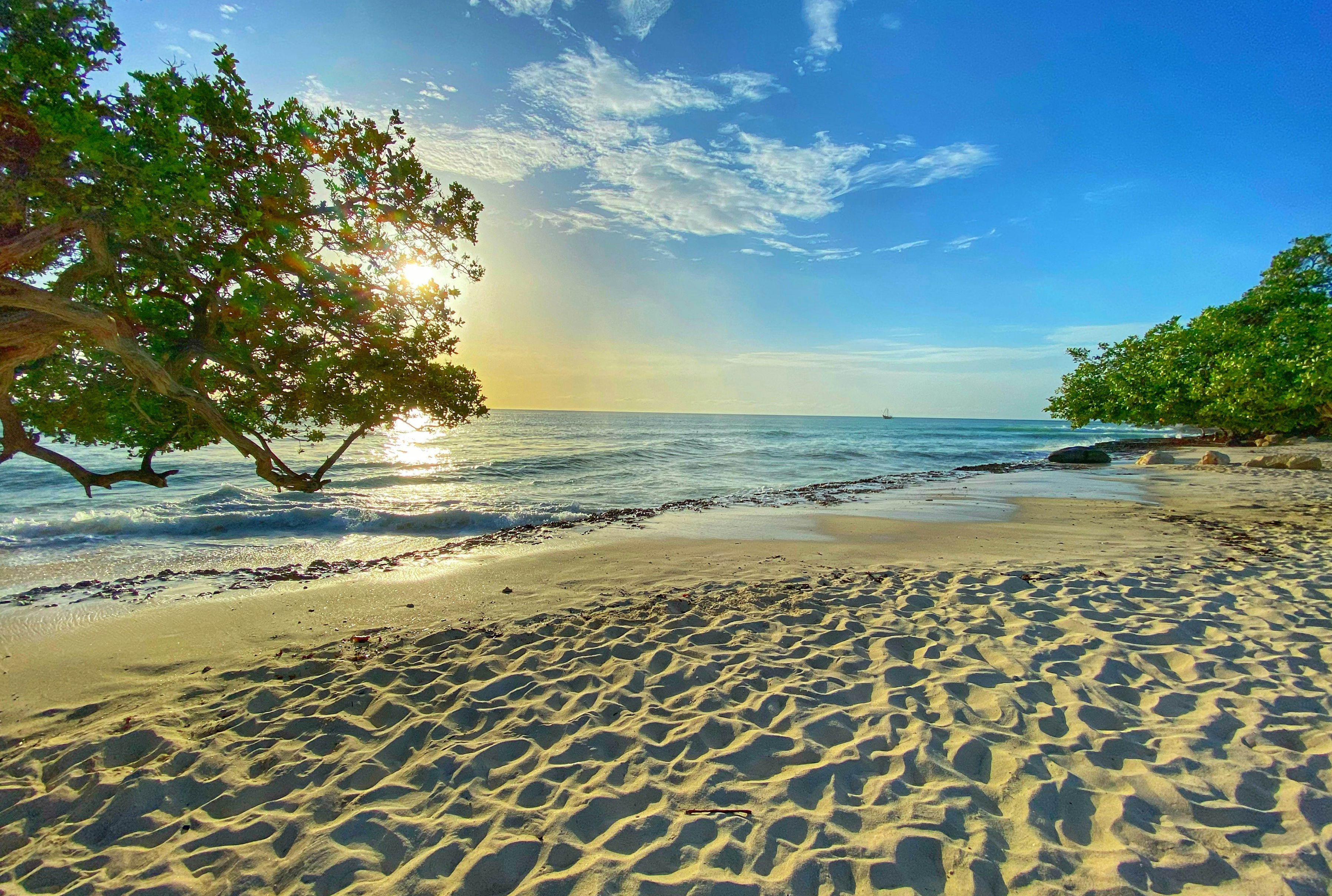 Southern Caribbean cruise destination featuring Aruba beach scenery, turquoise water, and tropical shoreline