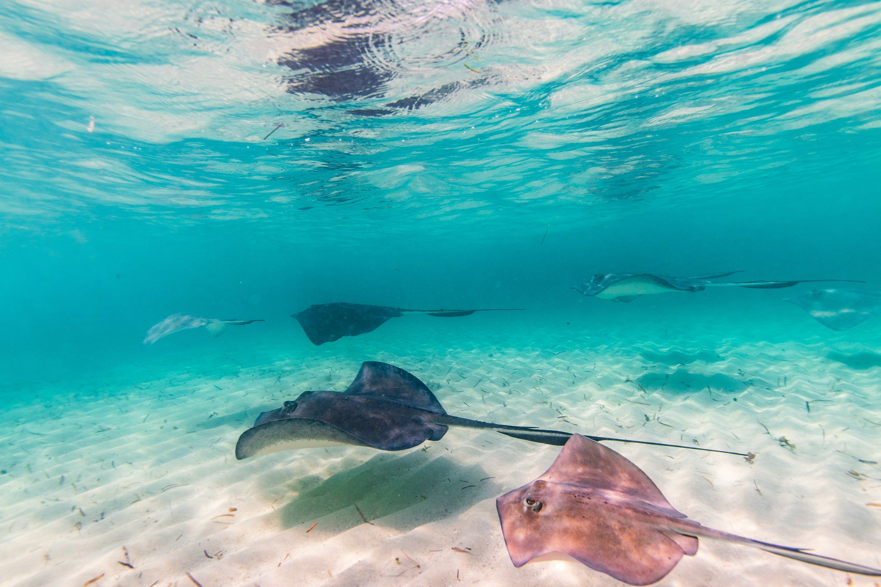 Bimini Bahamas beach