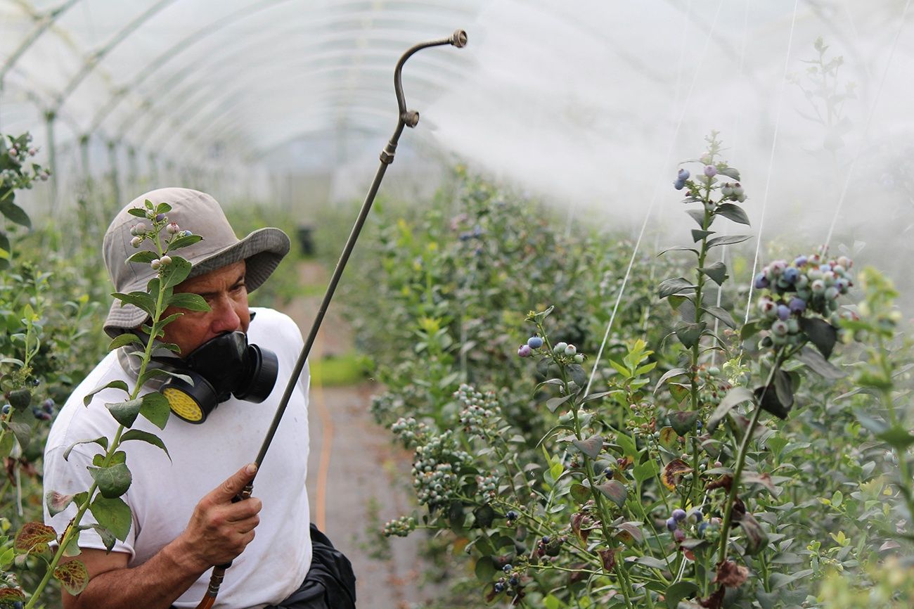 Mastering Pesticide Safety: A Comprehensive Guide