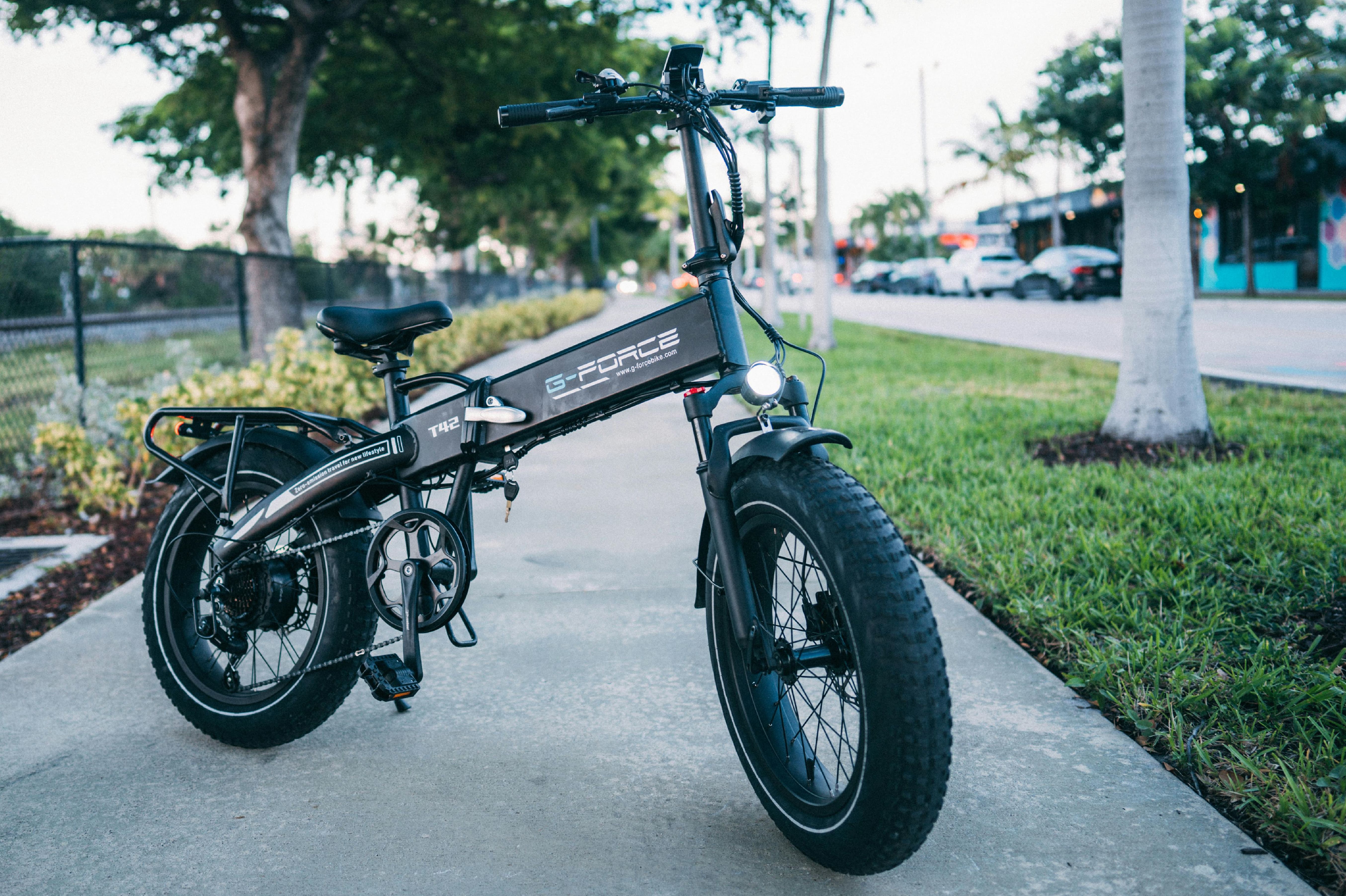 Navigating the Electric Bike Revolution: A Comprehensive Buying Guide