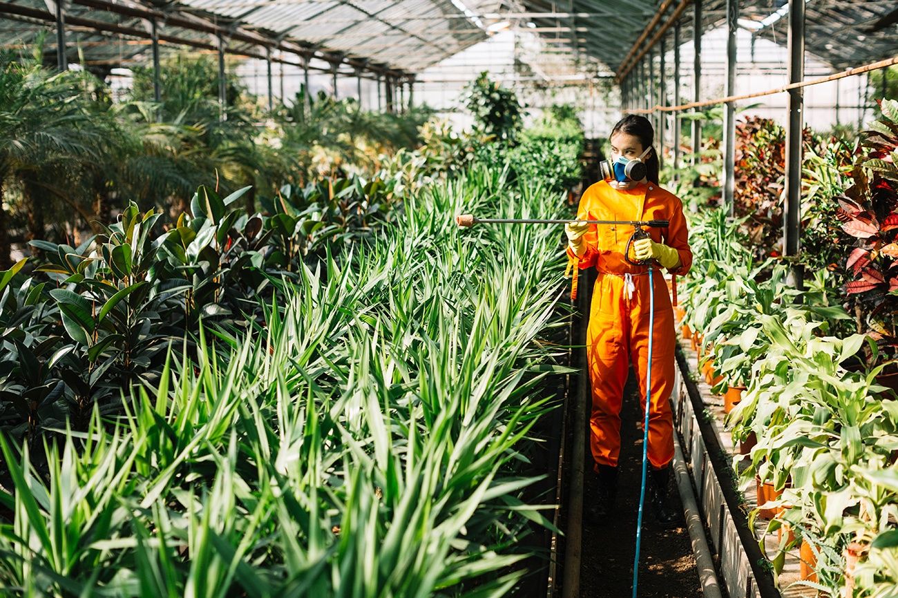 Ensuring Safety in Pesticide Use: A Comprehensive Guide