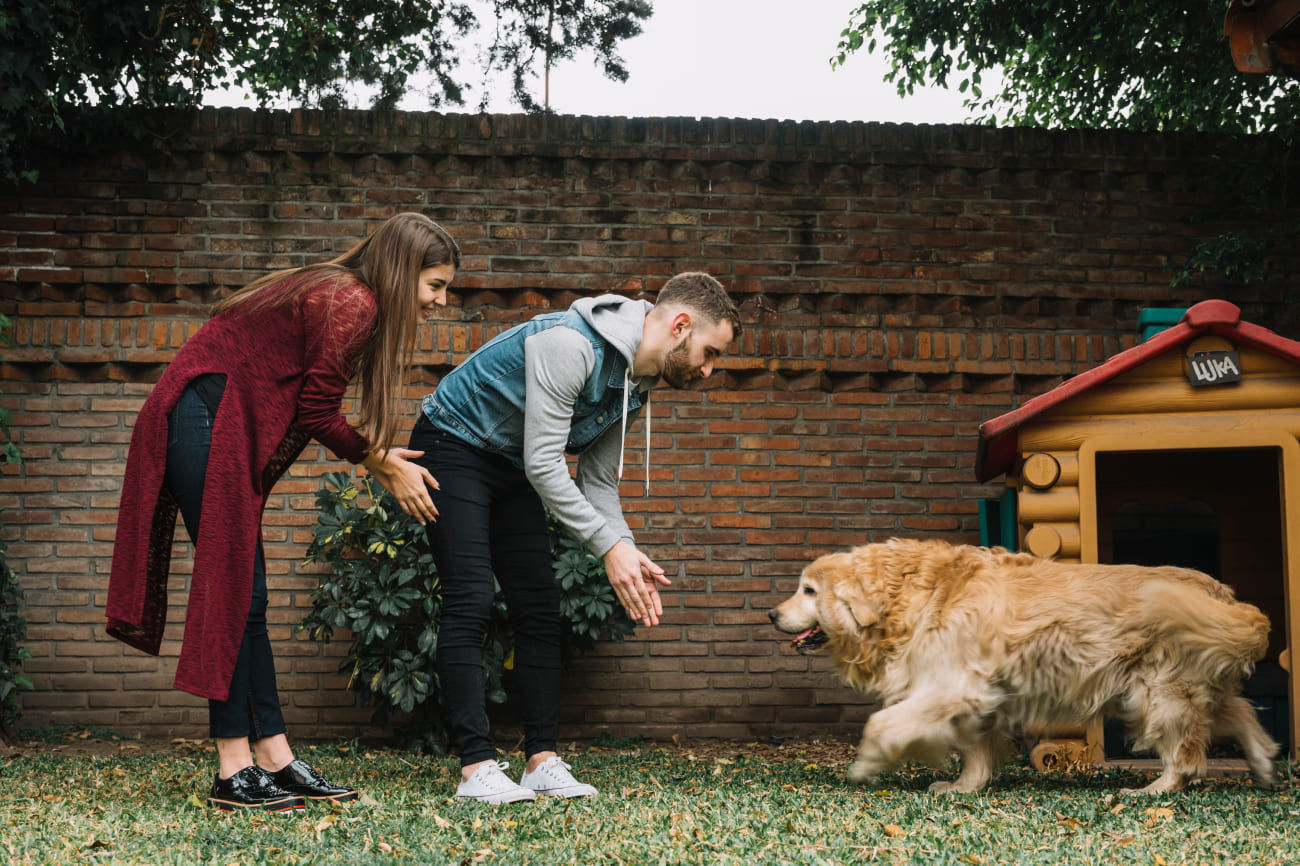 Pet Adoption: Giving Animals a New Home