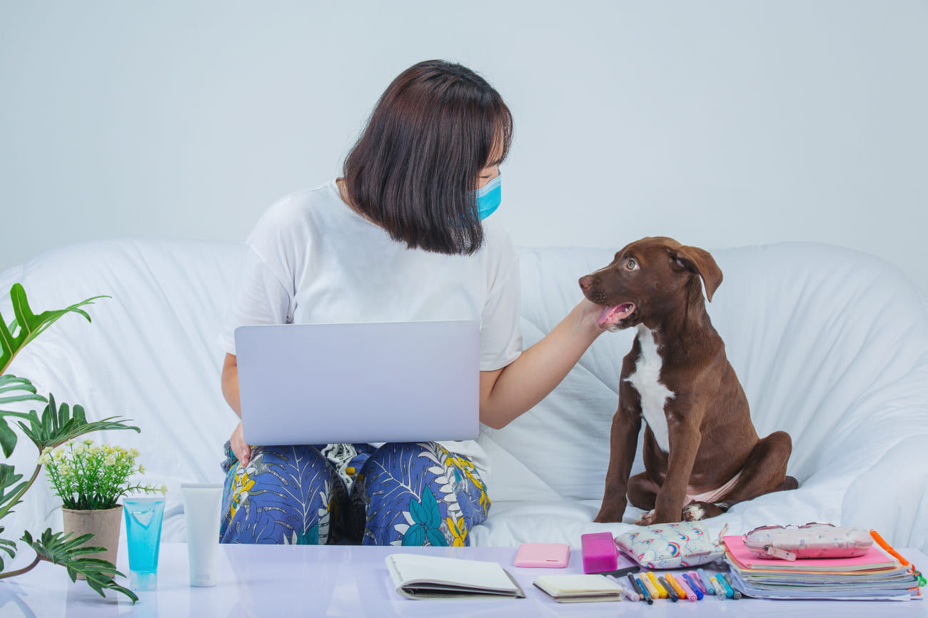 4 Mistakes to Avoid When Purchasing Pet Insurance