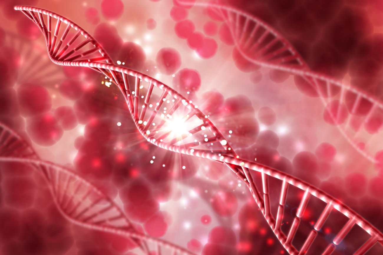 A Detailed Guide to Myelofibrosis Treatments and Causes
