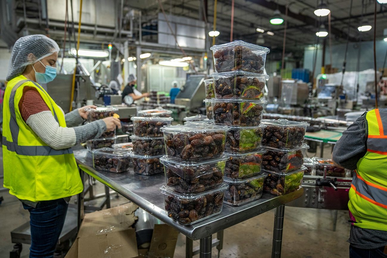 The World of Food Packing Jobs: Opportunities and Pathways