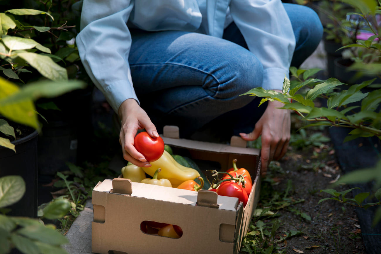 Vegetable Packing Jobs: A Key Role in the Food Supply Chain