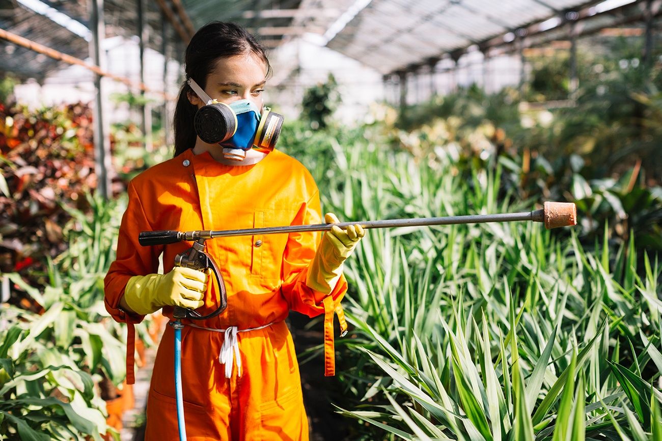 Safeguarding Health: A Guide to Pesticide Safety