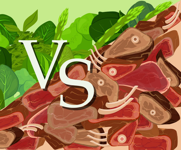 2. Voeding: dieren vs planten!