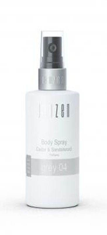 Janzen Body spray grey 04