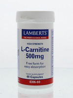 Lamberts L-Carnitine 500mg