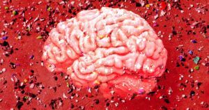 percentage brains microplastics