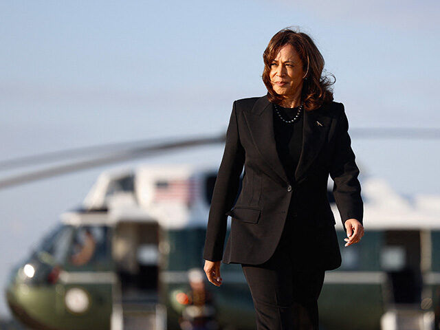 Left-Wing PAC Makes Cringey 'Man Enough' Ad to Bring Male Voters to Kamala -- and It Backfires Terribly 1 GettyImages 2176530290