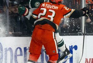 STP Z Wild Ducks Hockey 216586210