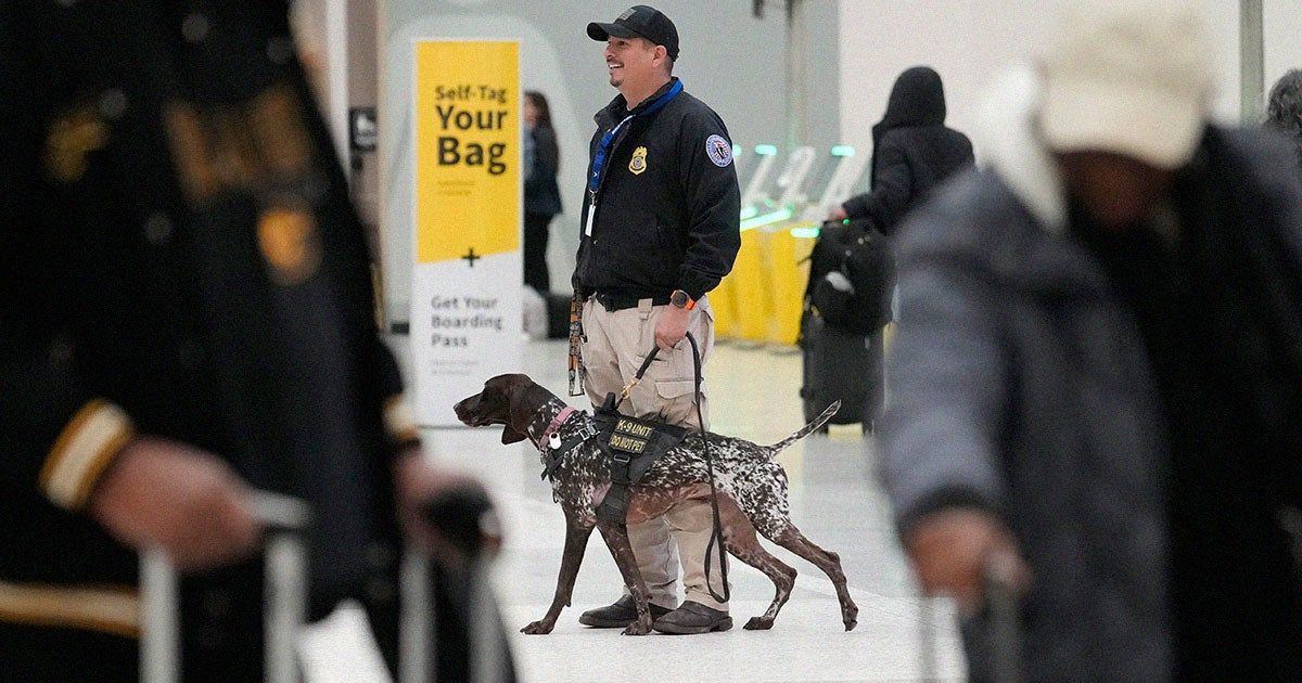 musk tsa dogs