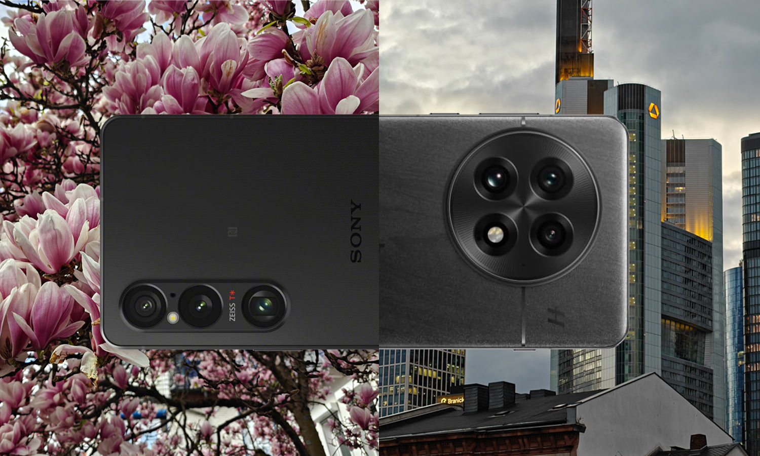 Sony Xperia 1 VI vs. OnePlus 13: The big camera comparison for travel photographers (Frankfurt, Würzburg, Middle Rhine) 1 teaser