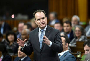 id5636841 CP170263701 1080x720