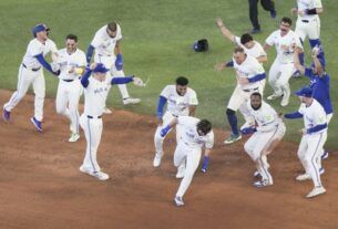 4f658f66e809f73afa7805131178f8dae271ccd0c4a80d484f790b1b74ee7b13 p4218209