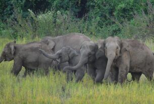 ARNLTL53P5GRNGYAO6WCBUEOKI