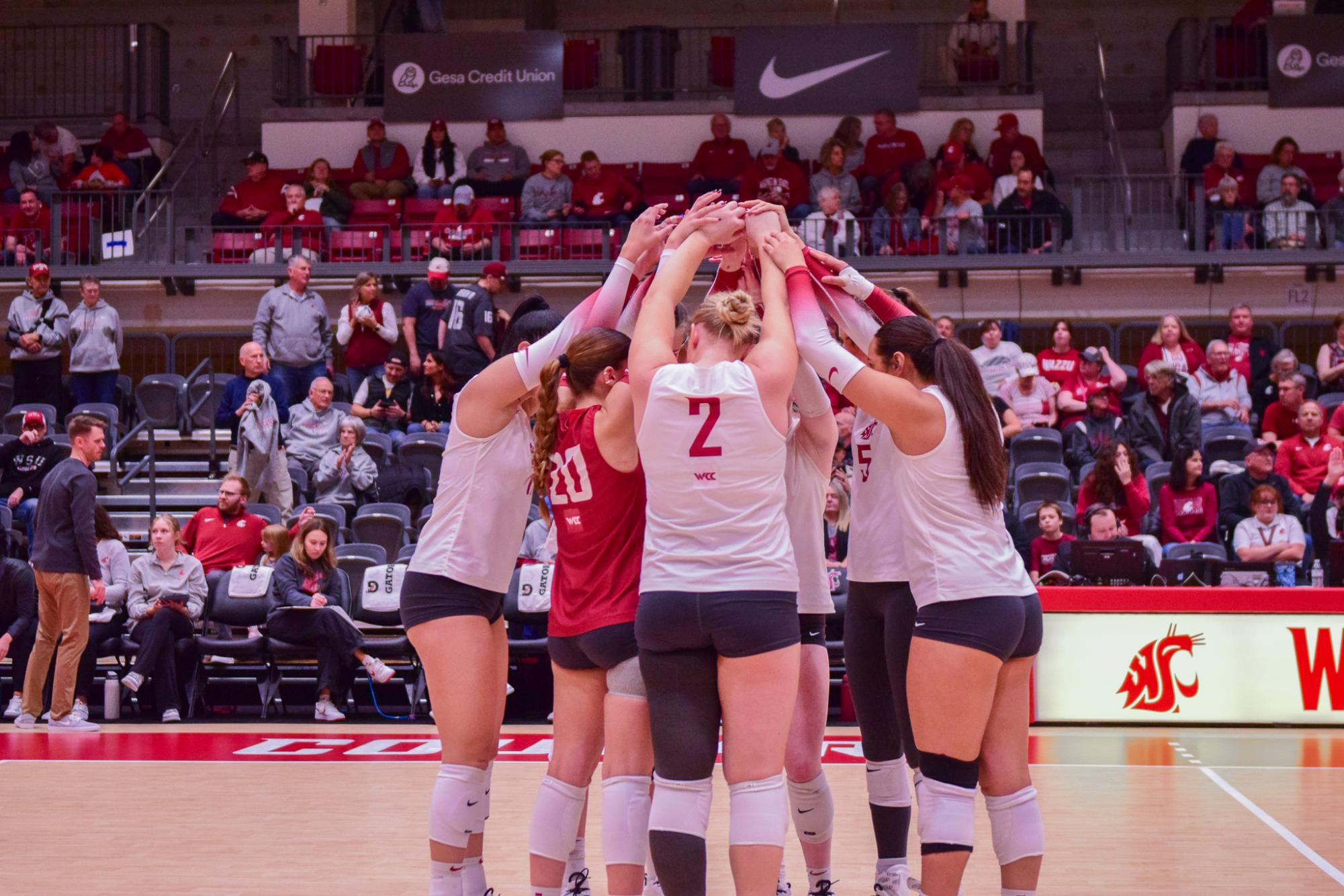 Volleyball associate head coach Jason Ruppelt departs from WSU 1 DSC 0154