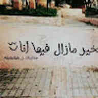 عمار الاحمد