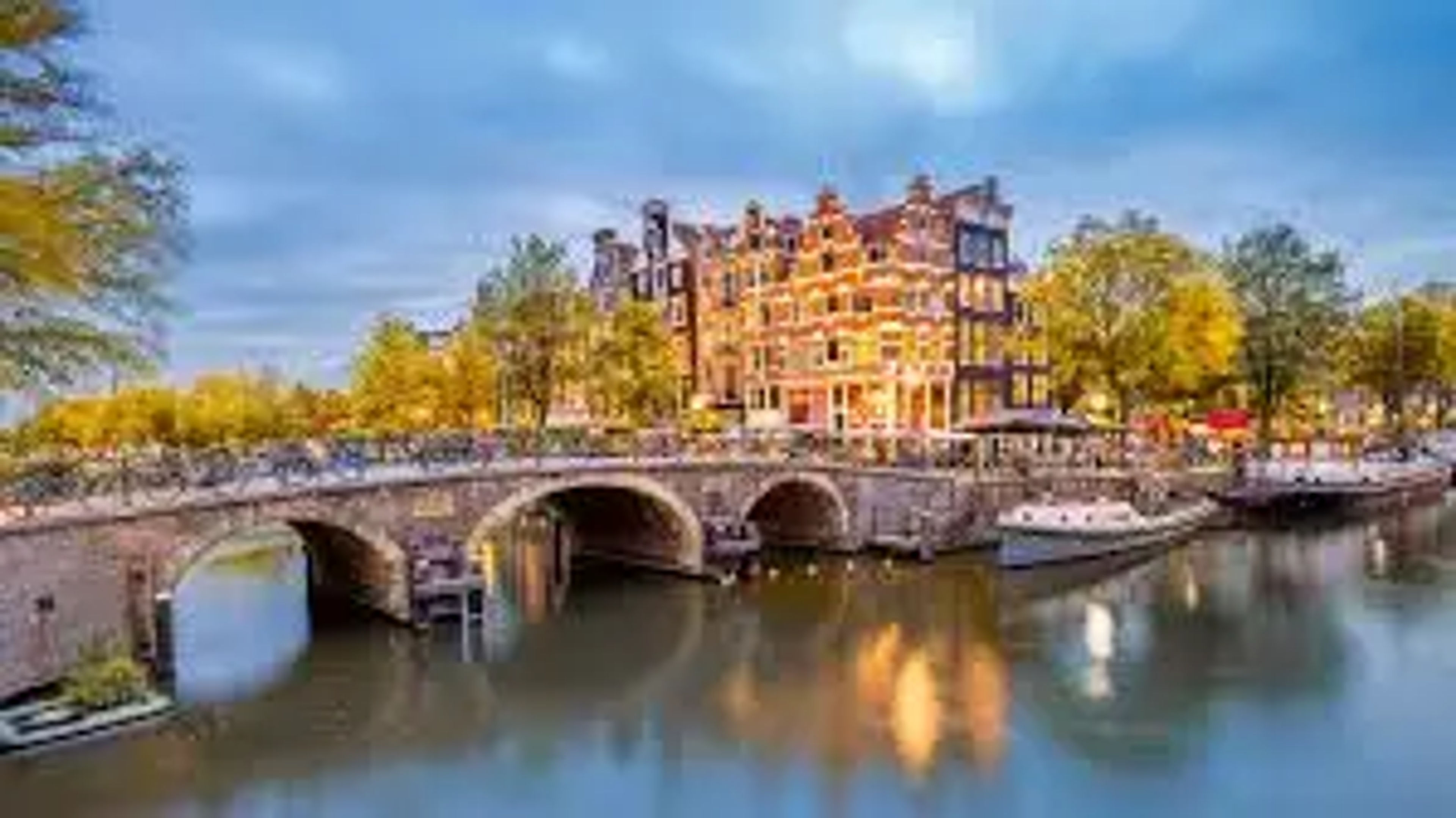 COVER IMAGECOVER IMAGE