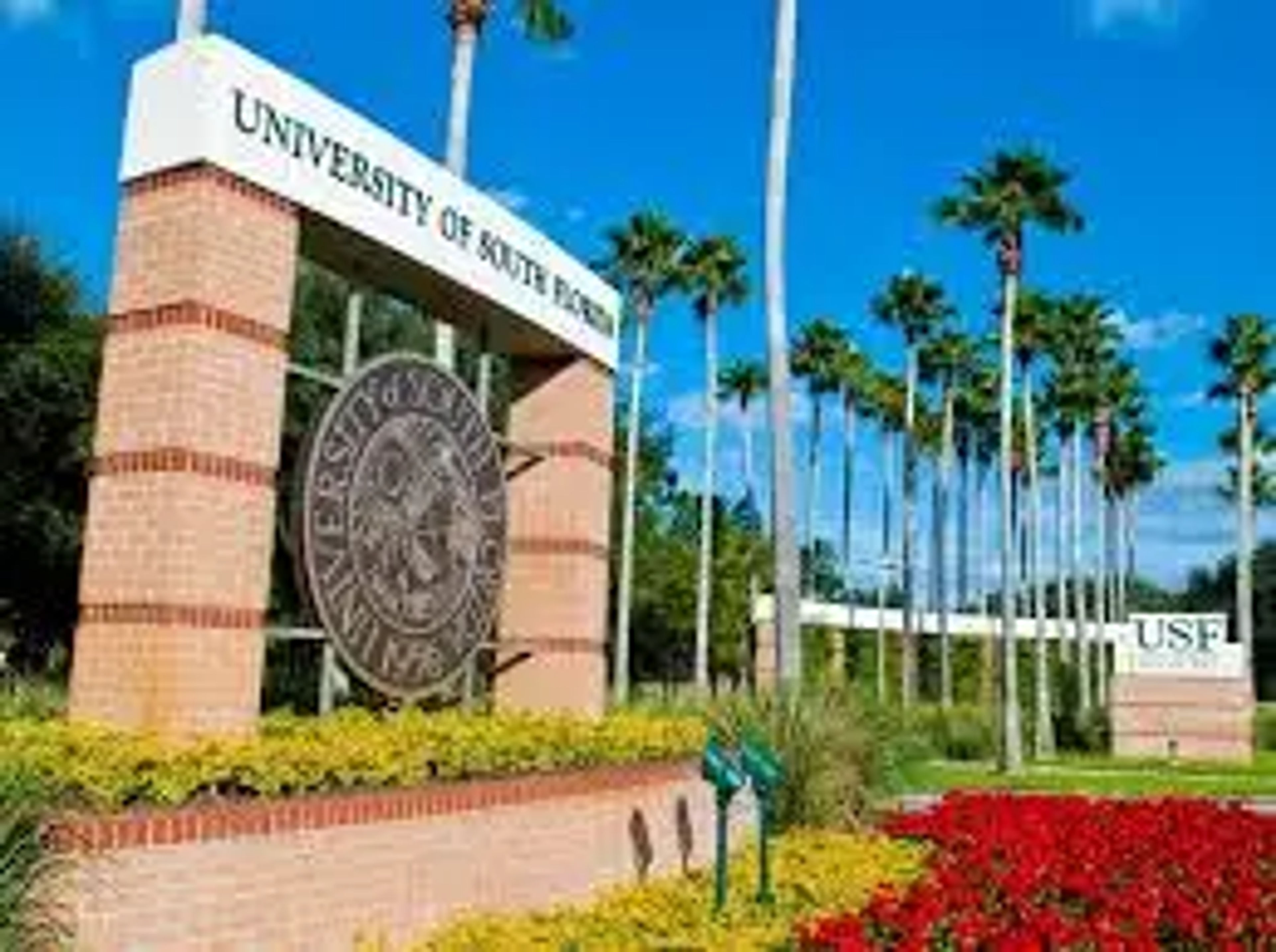 University of South Florida