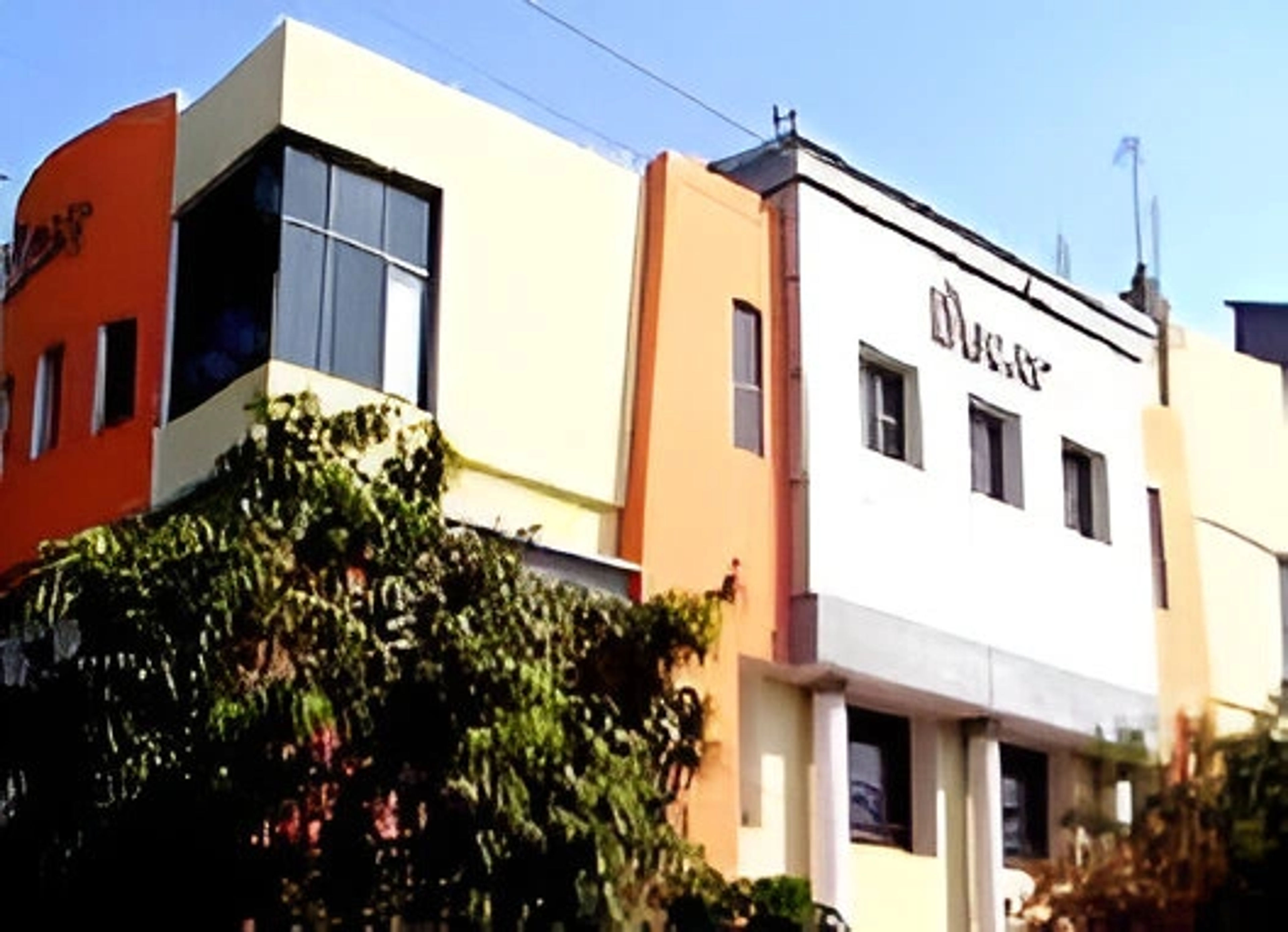 Ducat Institute Of Professional Studies ,Noida ,Uttar Pradesh