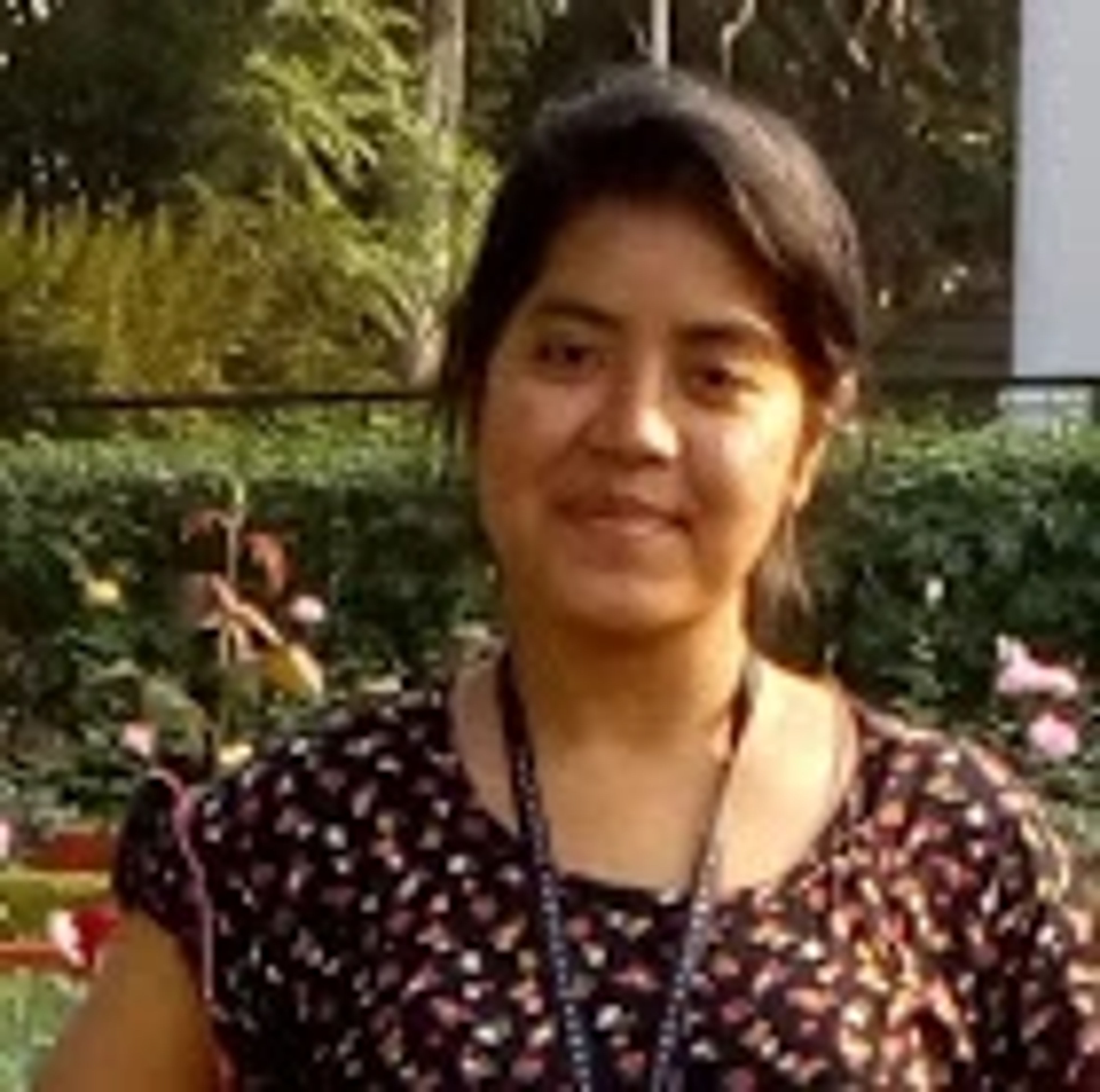 DR. NILIMA DAS