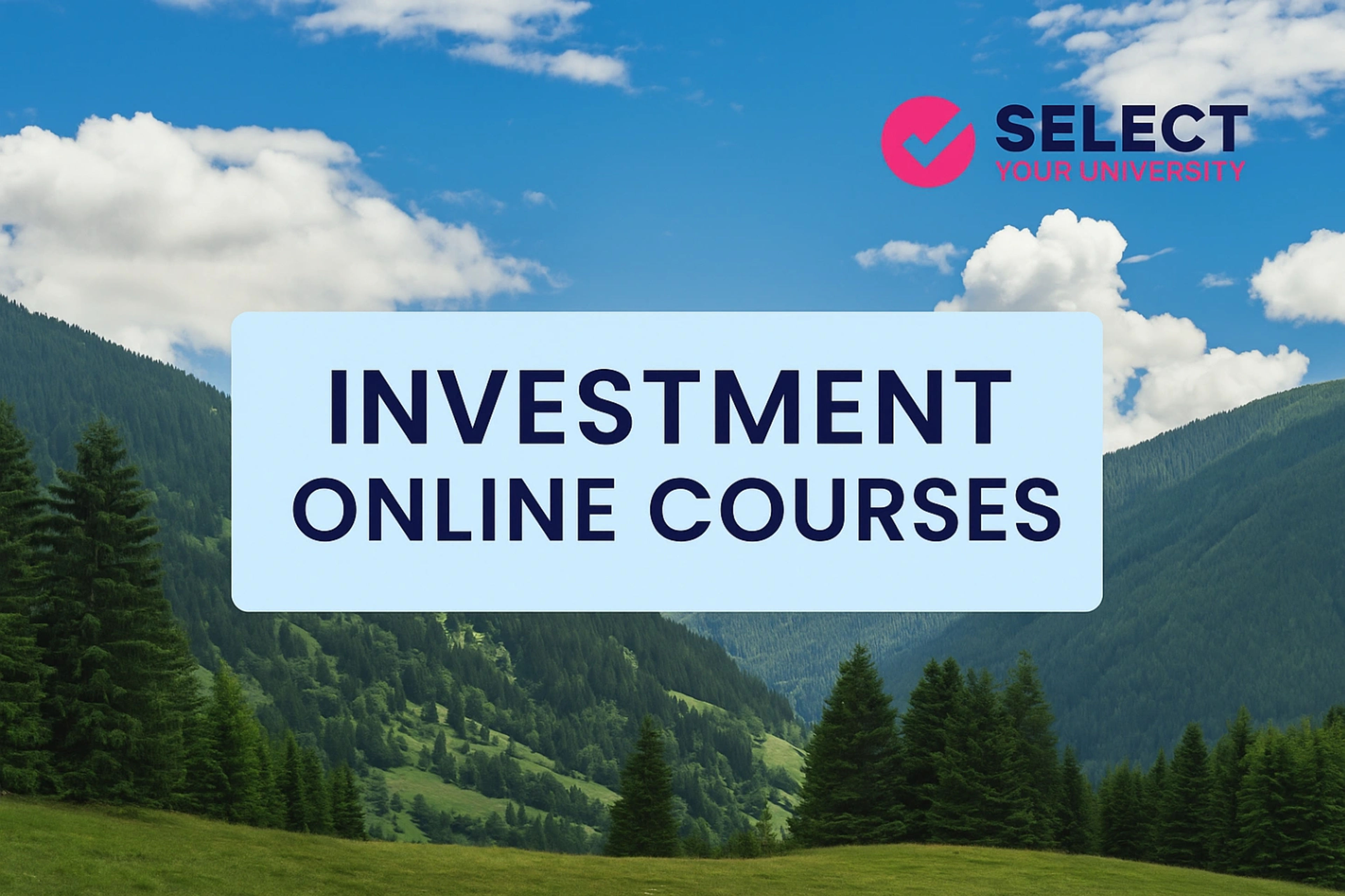 Investment Online Courses