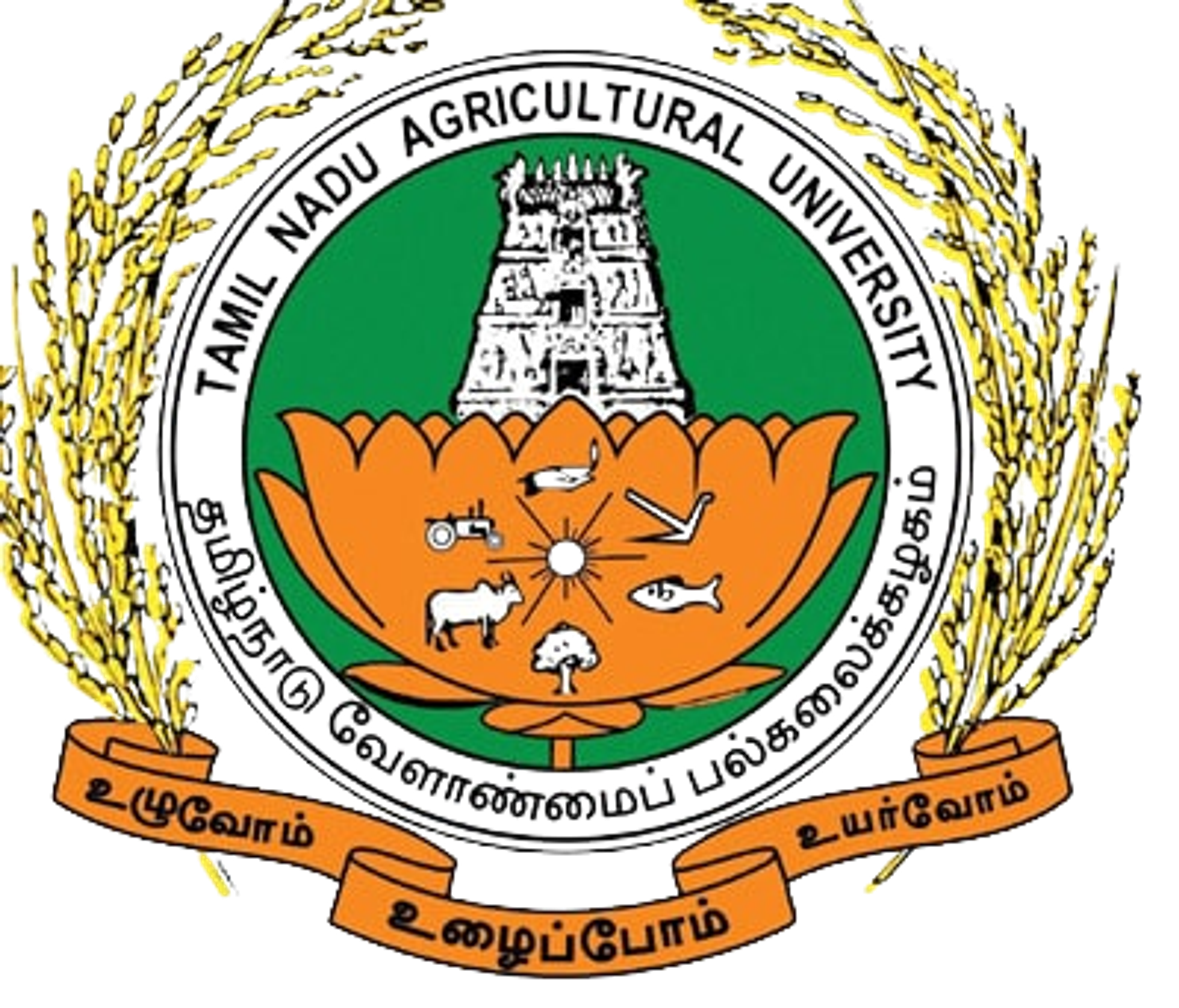 college logo image