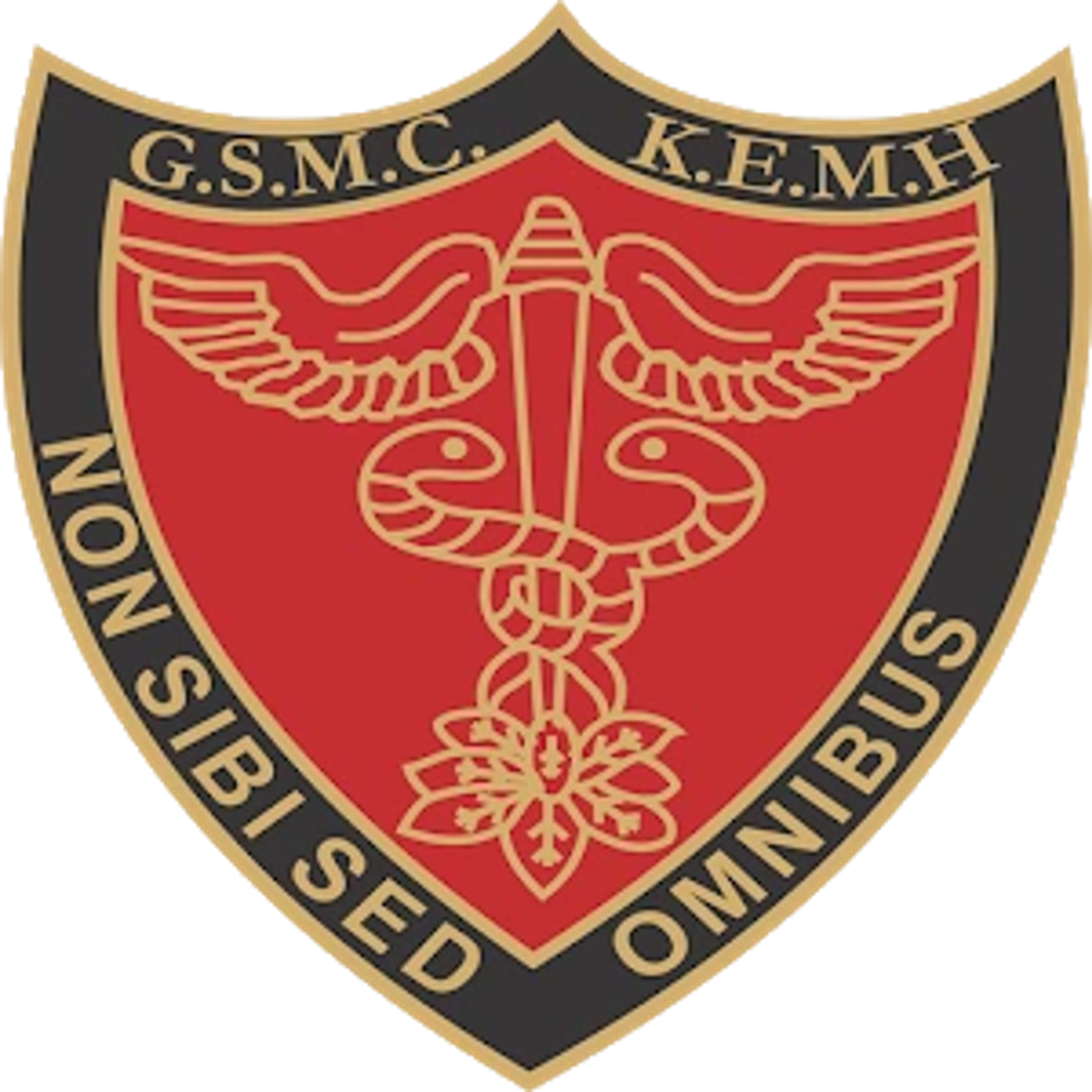 college logo image