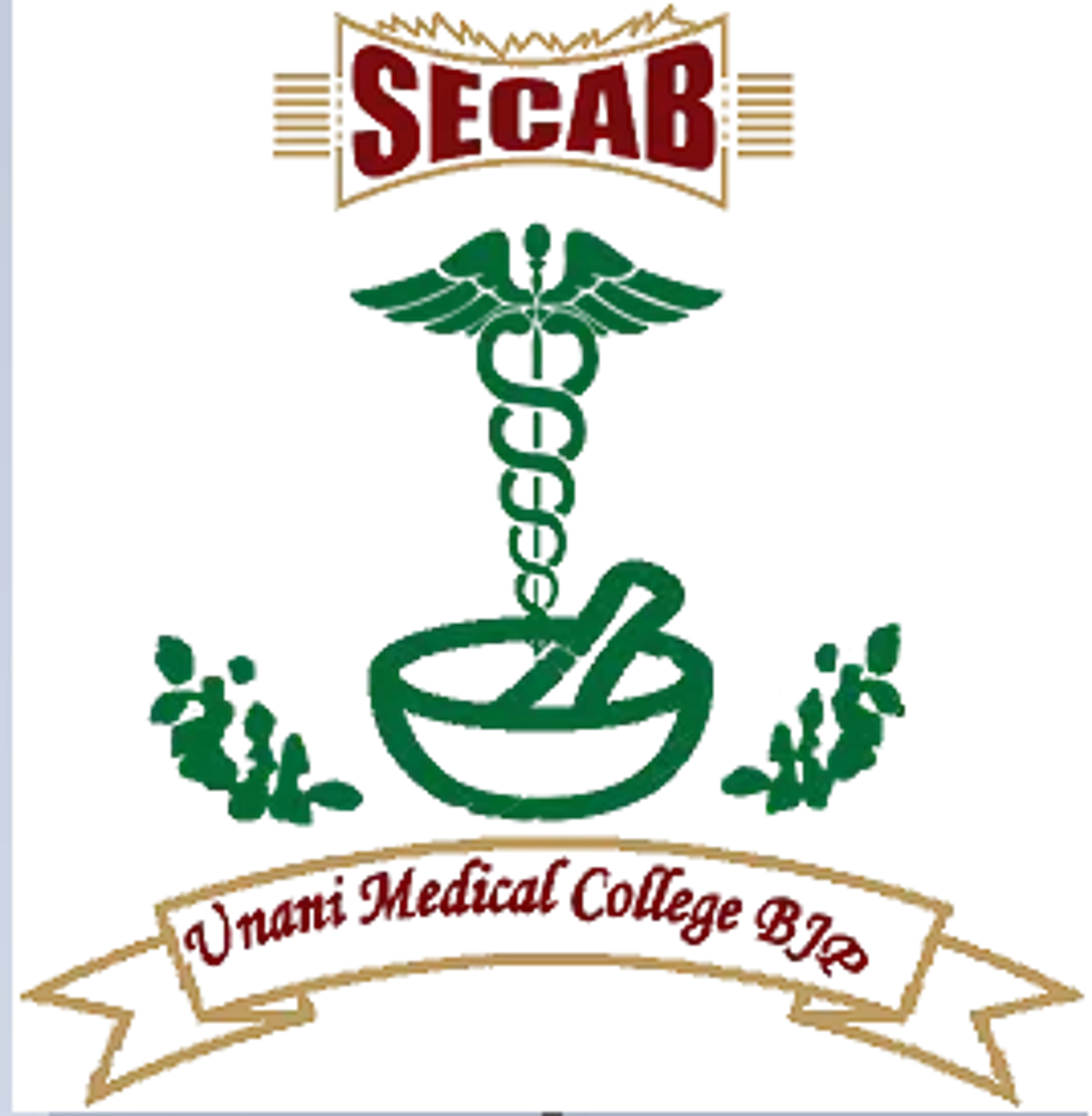 college logo image