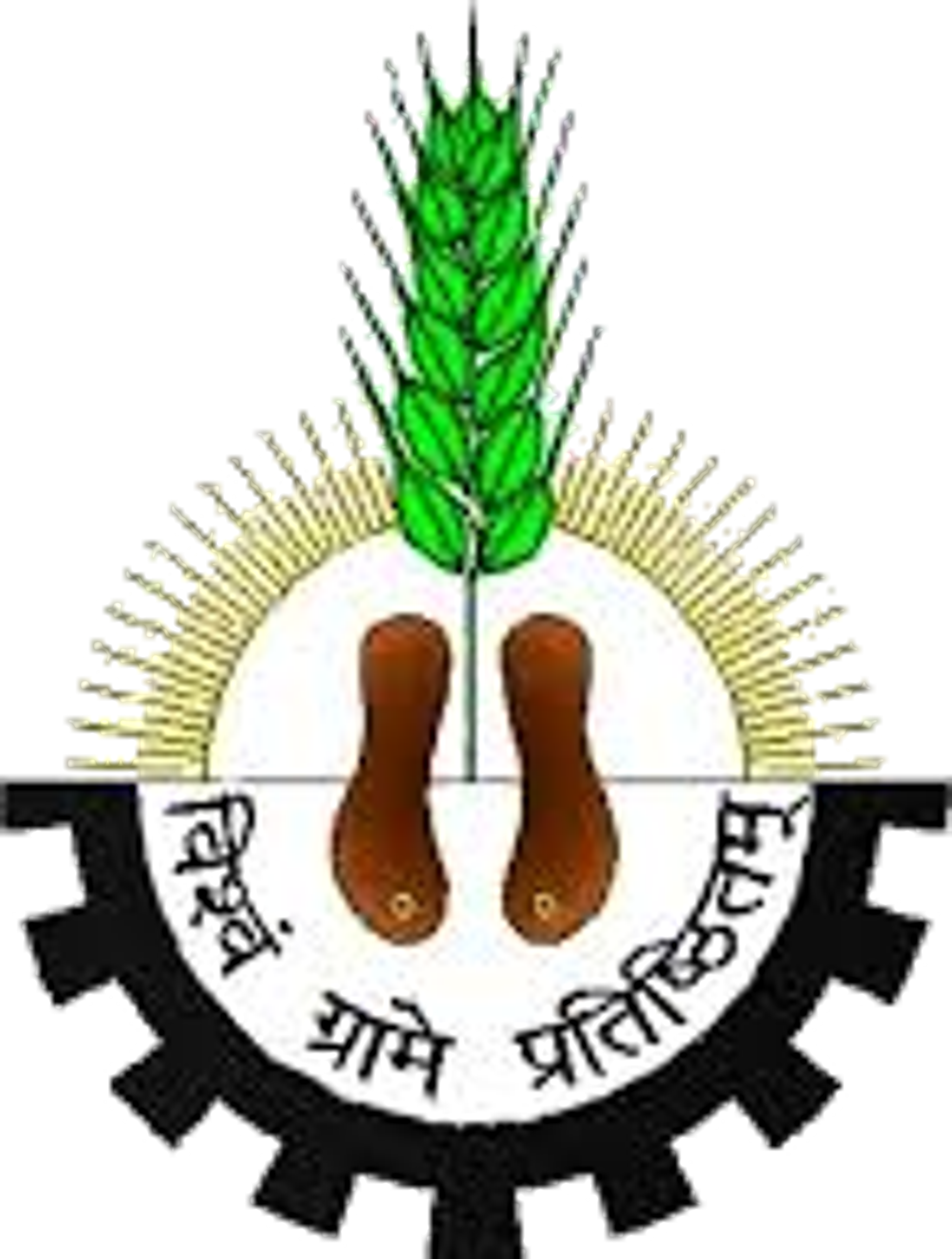 college logo image