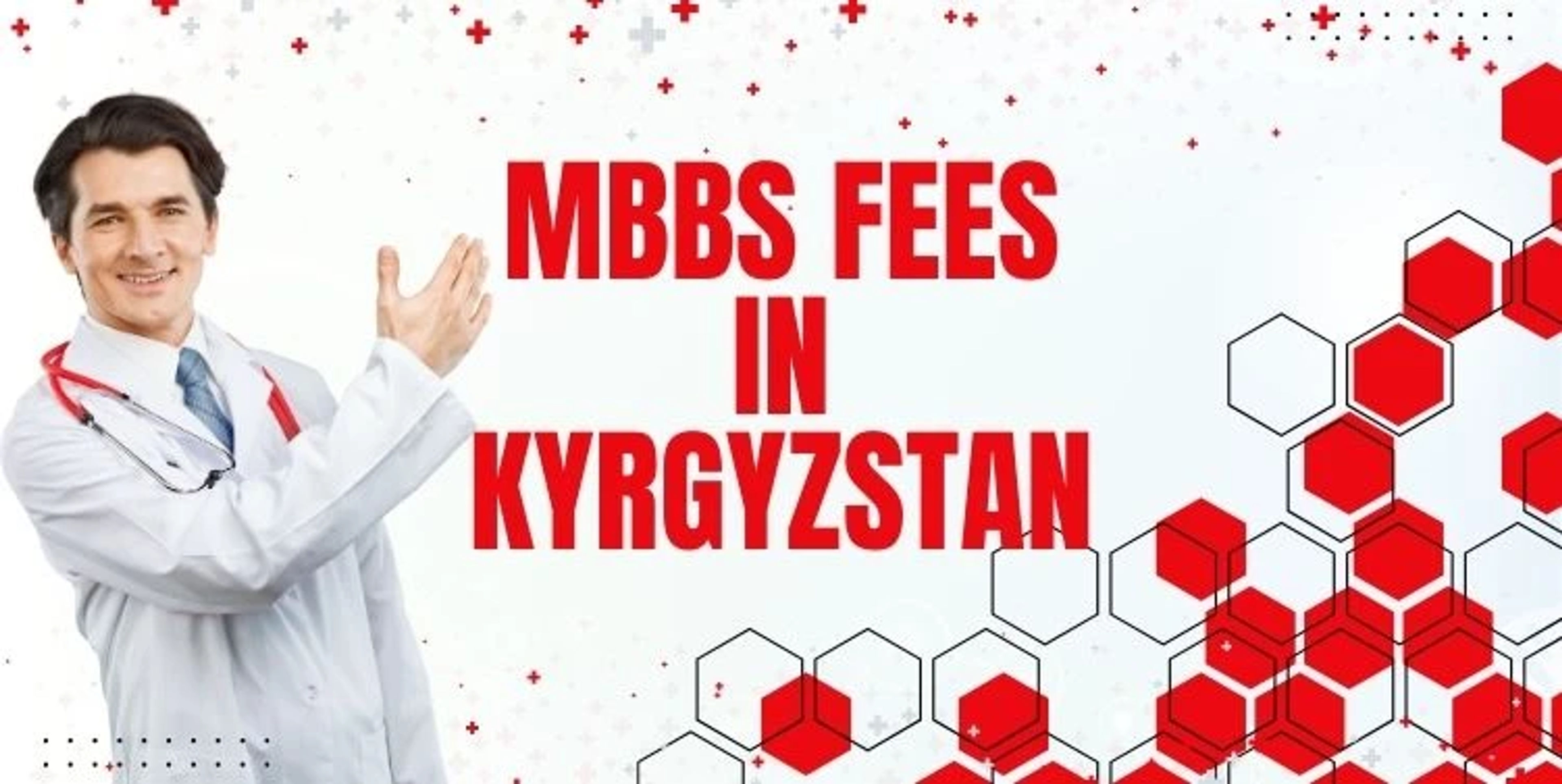 MBBS Fees in Kyrgyzstan