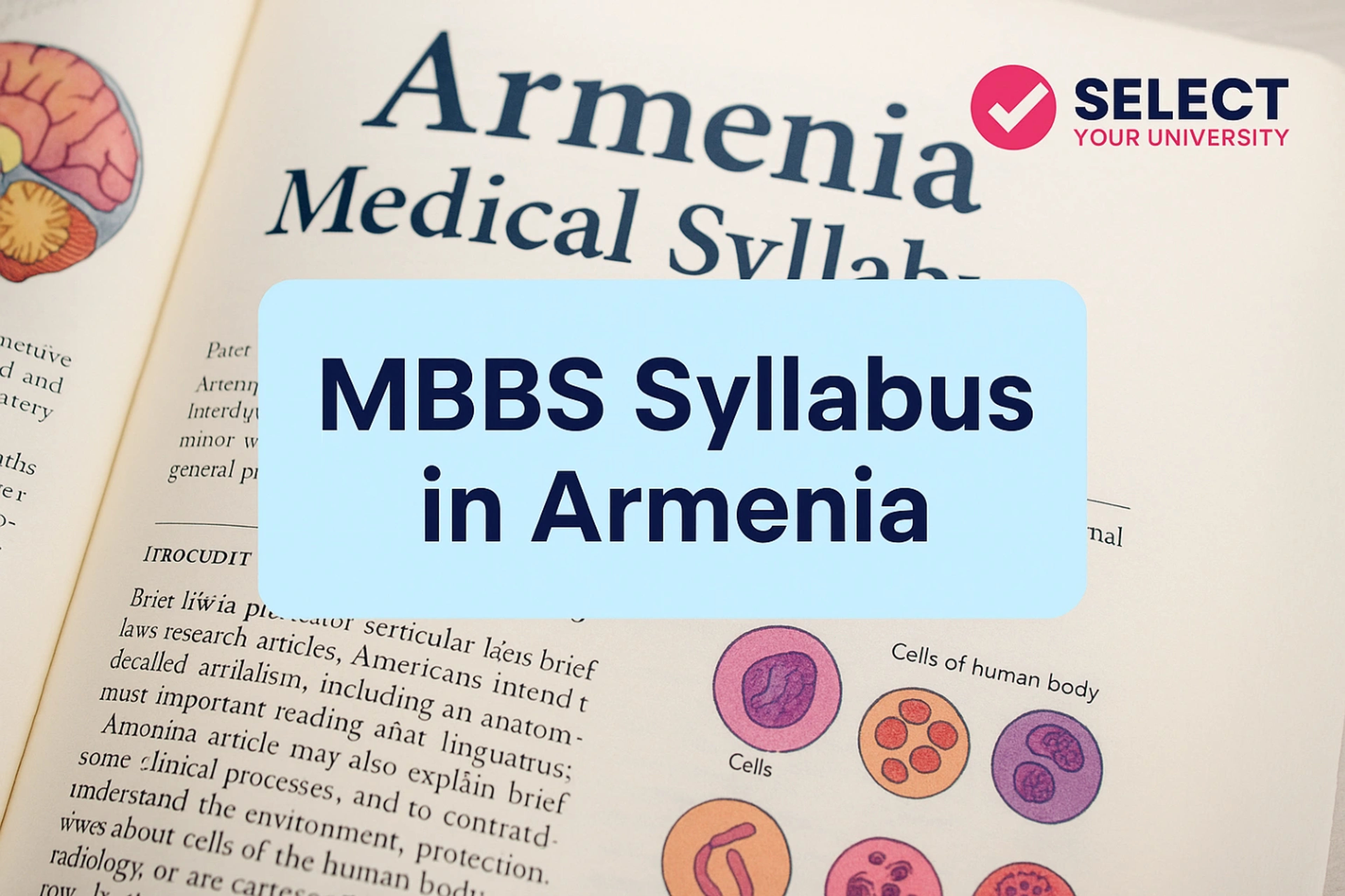 MBBS Syllabus in Armenia