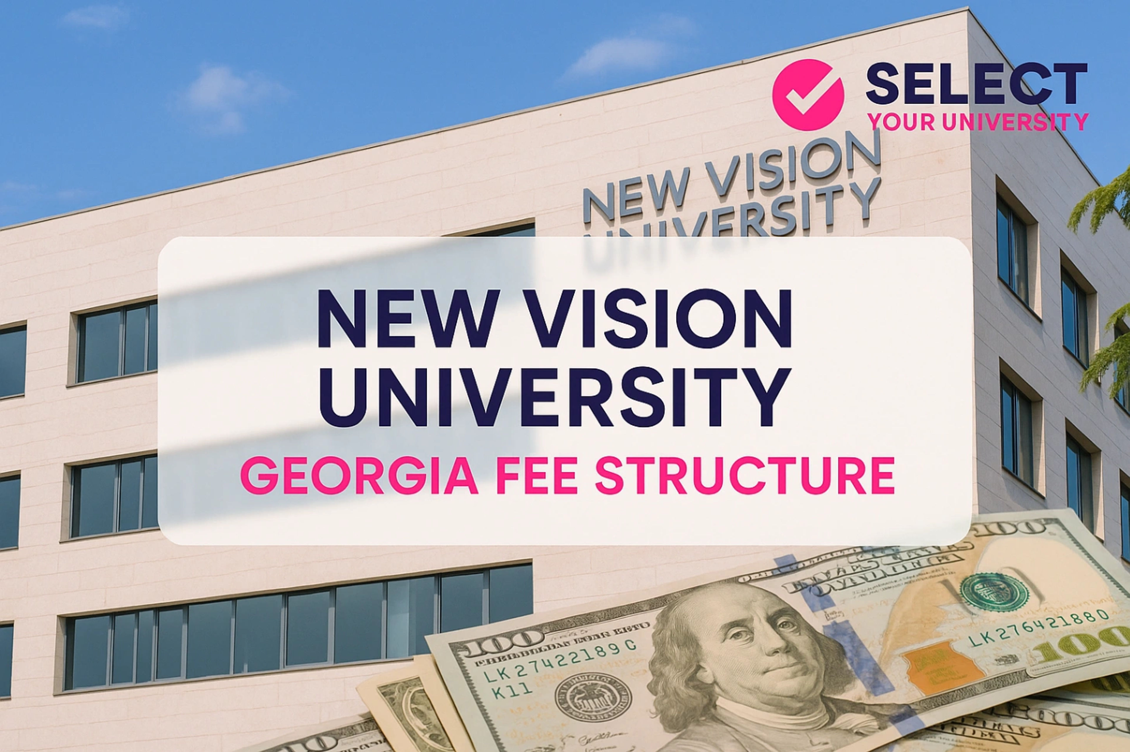 New Vision University Georgia Fee Structure