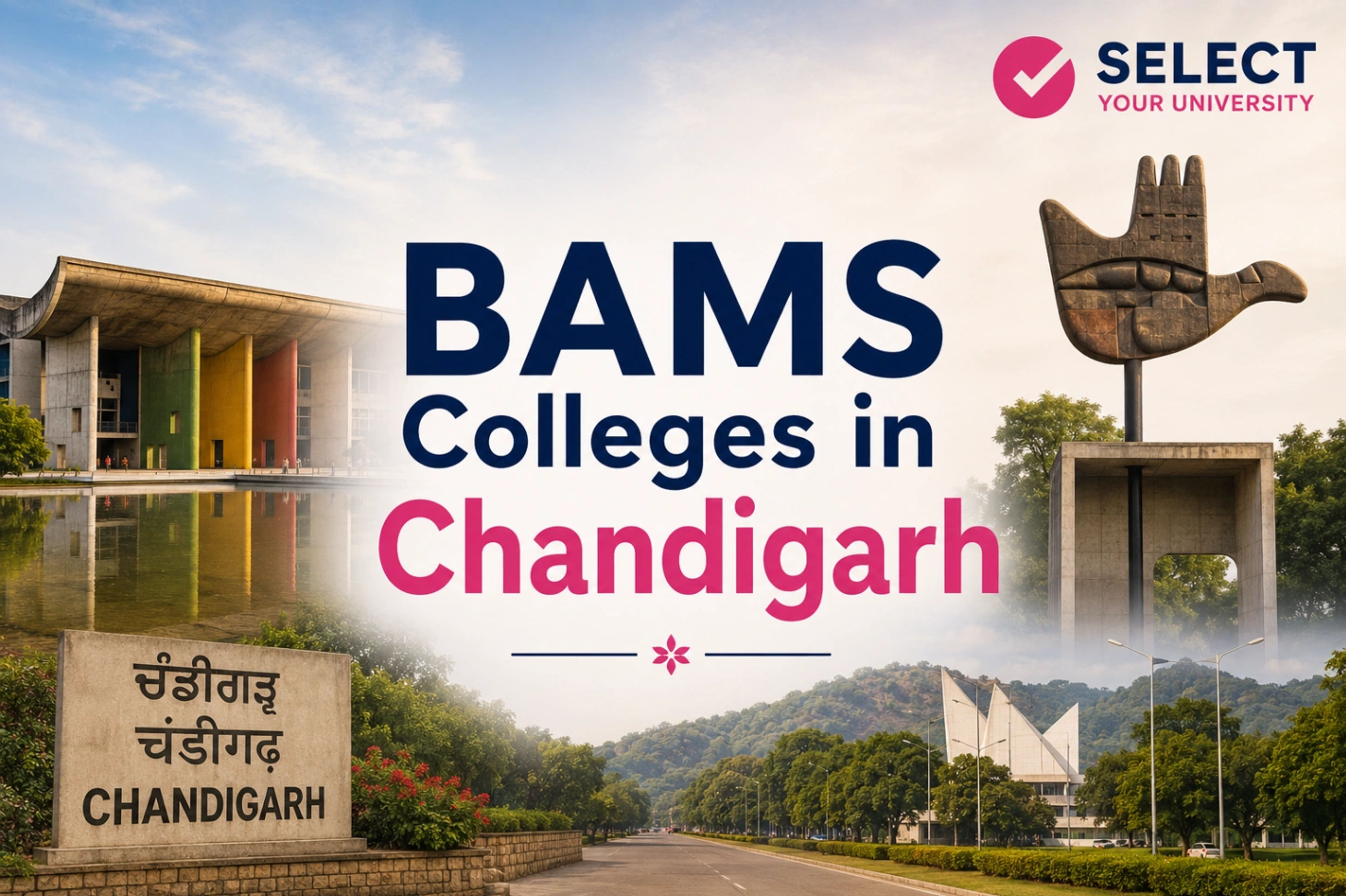 Top BAMS Colleges in Chandigarh