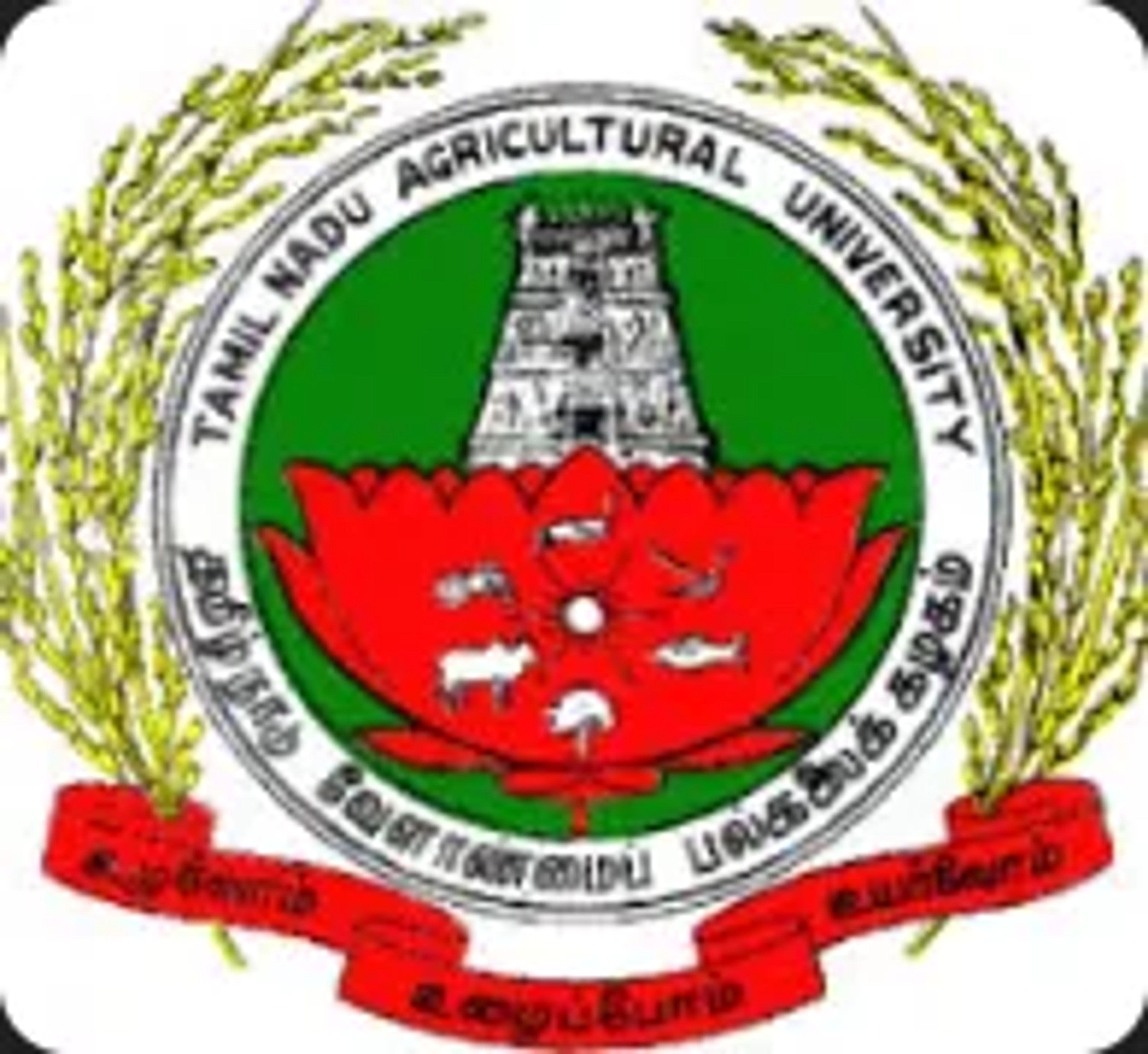 college logo image