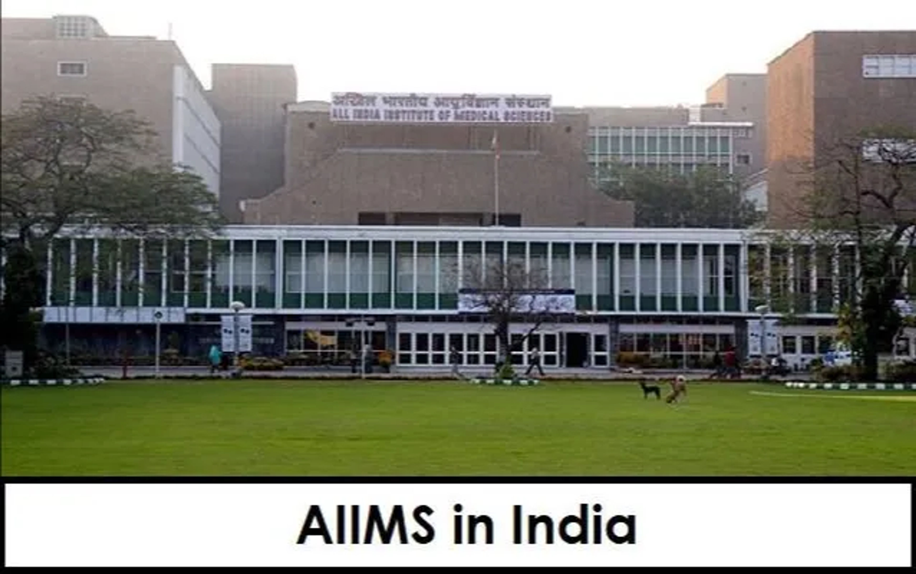 All India Institute of Medical Sciences - [AIIMS]